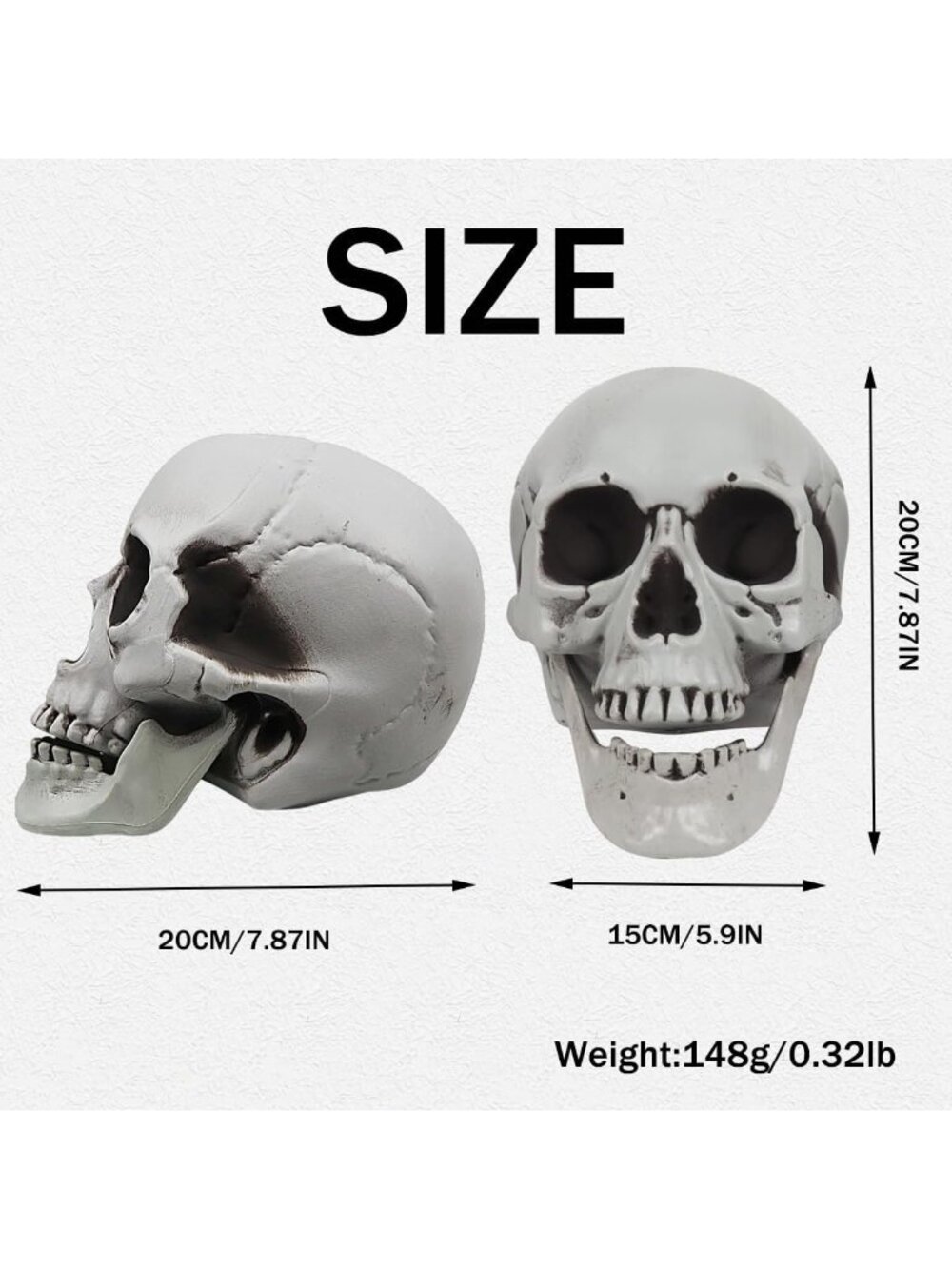 🎃Halloween Decor Graveyard Life Size Skeleton Skull Lightweight Outdoor White - Picture 2 of 6